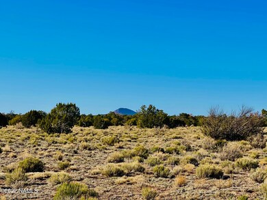 4117 Red Butte Rd unit Lot B, Williams, AZ 86046 - photo 3