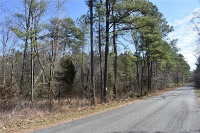 0 Lewis Tyler Lane (Rt 620) Ave unit 2304681, Charles City, VA 23030 - photo 7