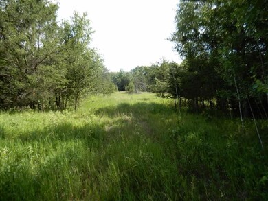 6550 Ccc Rd, Danbury, WI 54830 - photo 5