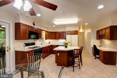 12412 Ivy Mill Rd, Reisterstown, MD 21136 - photo 4