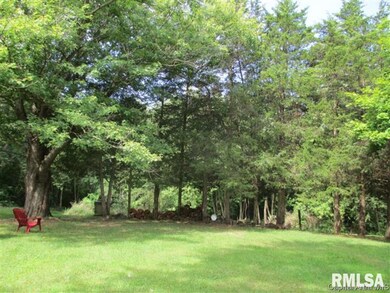 1711 Mount Zion Rd, Jacksonville, IL 62650 - photo 3