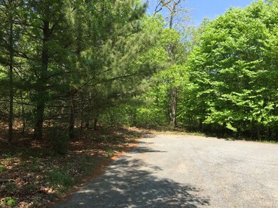 29 Bea Ln, West Tisbury, MA 02575 - photo 5