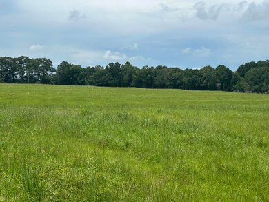 Pasture