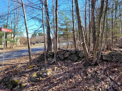 0 Long Meadow Dr unit 4904704, Troy, NH 03465 - photo 2