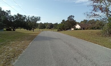 3172 N Boswell Terrace, Hernando, FL 34442 - photo 4