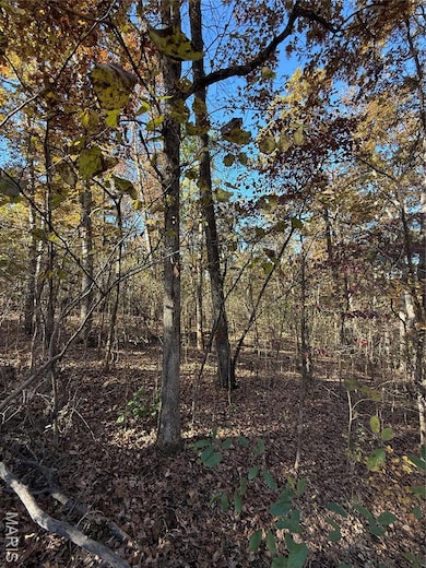 unlisted-address, de Soto, MO 63020 - photo 2