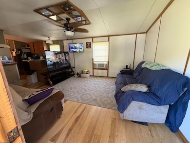 166 7th St, Hambleton, WV 26269 - photo 5