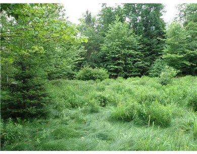 Land/Lot. Side yard