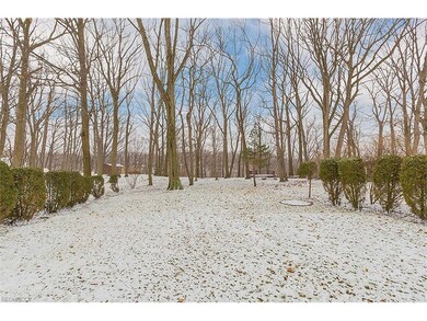 Vista from rear Garden to trees and Euclid Creek R