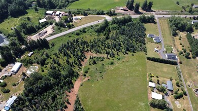 135 Homer Ln, Chehalis, WA 98532 - photo 4