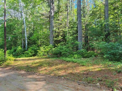 0 Old Woods Rd unit 16 4868781, Tuftonboro, NH 03816 - photo 5