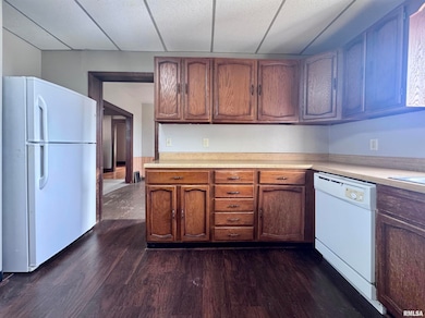 916 7th St, Fulton, IL 61252 - photo 3