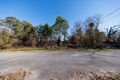 7 Wilson Ave, Great Falls, SC 29055 - photo 7