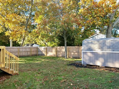 backyard 3