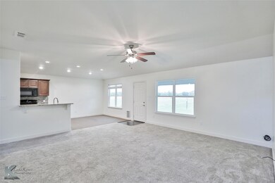 366 Hog Eye Rd, Abilene, TX 79602 - photo 5