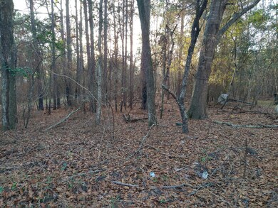 IMG_20231221_163153617_HDR