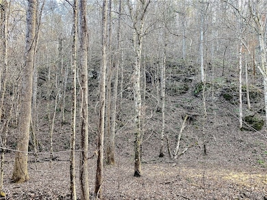 8648 Groundhog Rd, Adger, AL 35006 - photo 7