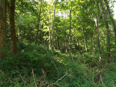 10121 Swamp Rd, Logan, OH 43138 - photo 5