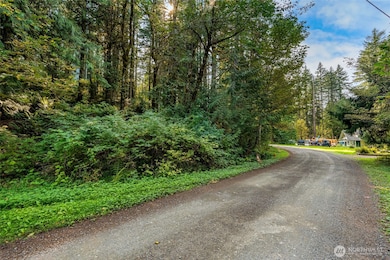 75601 NE 122nd St, Skykomish, WA 98288 - photo 4