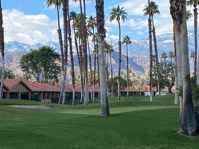 View from Patio