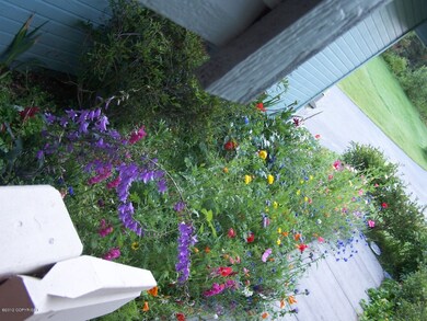 Summer flowers