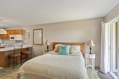 115 Weirs Rd unit 109B, Gilford, NH 03249 - photo 7