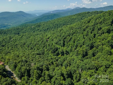 99999 Gateway Pkwy unit 761, Old Fort, NC 28762 - photo 5