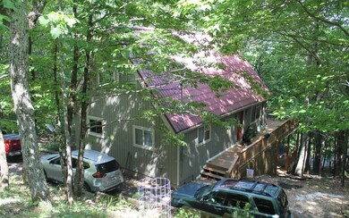 Additional View
