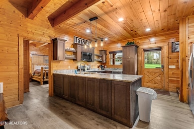 315 Caney Creek Rd, Pigeon Forge, TN 37863 - photo 6