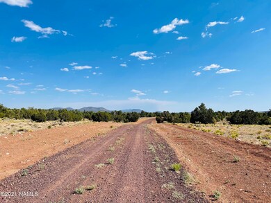 4752 Lasso Loop Photo 13