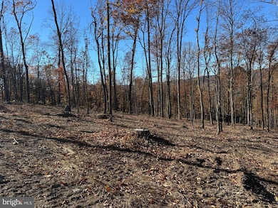 0 Digging Bear Ln unit VALO2111584, Purcellville, VA 20132 - photo 5