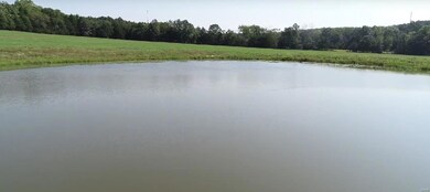 0 49 57 Acres County Road 5310 unit 19068933, Rolla, MO 65401 - photo 6