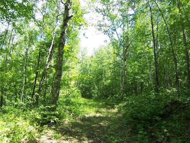 Lot 3 Ashtons Way, Webster, WI 54893 - photo 7