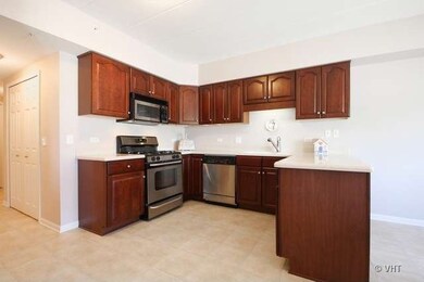 14100 Sheffield Dr unit 101, Homer Glen, IL 60491 - photo 5