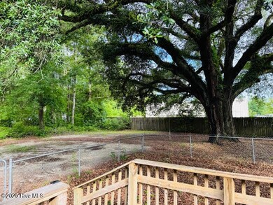 DRIVEWAY & REAR YARD