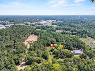 0 Mt Olivet Church Rd unit 617090, Chapin, SC 29036 - photo 4