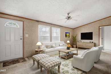 4210 Scronce Rd, Harrells, NC 28444 - photo 5