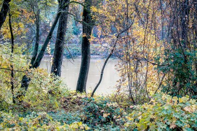 Sac River Near Property - Lake Redding D