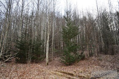 Bottom of Land