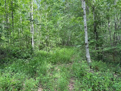 5201 Tennessee 150, Sequatchie, TN 37374 - photo 2