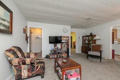 341 S Center St, Fordland, MO 65652 - photo 6