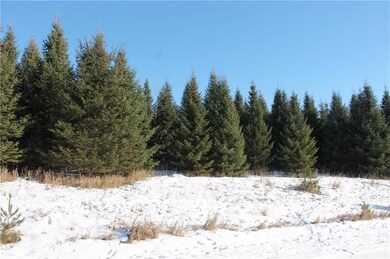 Lot 3 26 1 4 St, Chetek, WI 54728 - photo 6