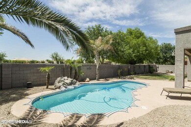 Swim & Play?
