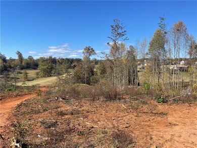 361 Springbrook Rd, Walhalla, SC 29691 - photo 3