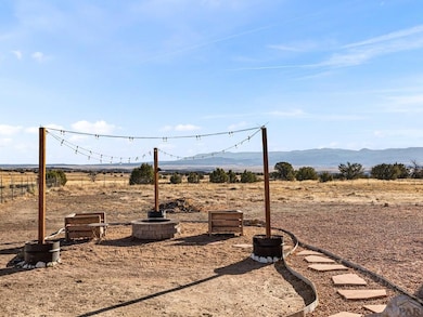 100 Pleasure Trail, Penrose, CO 81240 - photo 6