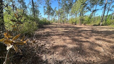 0 Xxx E Cypress Dr unit LotWP001, Donalsonville, GA 39845 - photo 5