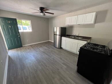 All units with stove and fridge