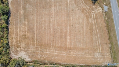 3 acres Highway 431 S, Owens Cross Roads, AL 35760 - photo 4