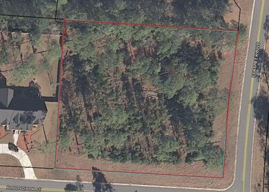 14 Ruddy Duck Ct, Brunswick, GA 31523 - photo 2