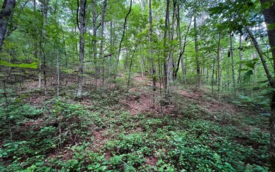 Additional View